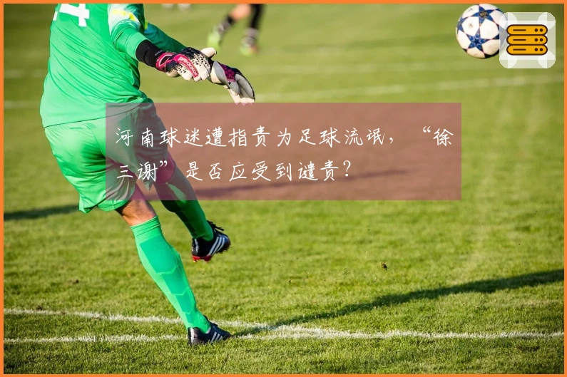河南球迷遭指责为足球流氓，“徐三谢”是否应受到谴责？