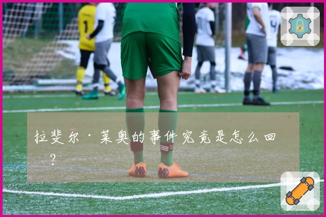 拉斐尔·莱奥的事件究竟是怎么回事？